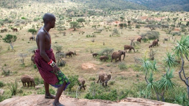 Estudiando la biodiversidad de los ecosistemas etíopes