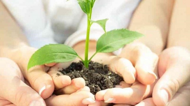 Andalucía apuesta por la educación ambiental de los universitarios