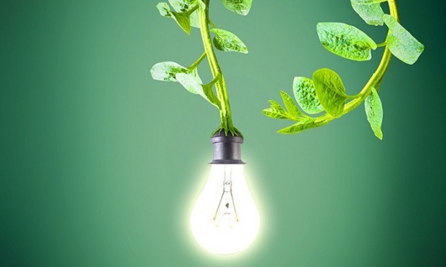 Presidencia de La Rioja ahorra energía y papel tras implantar sistema de gestión ambiental en 2005