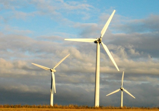 “Nuestras empresas son líderes mundiales en parques eólicos”