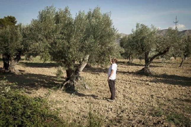 Dos espacios naturales de la provincia de Teruel seleccionados para su total regeneración