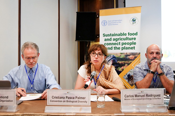 Pilar Andrés redactará un informe mundial para la FAO sobre el estado de la biodiversidad del suelo