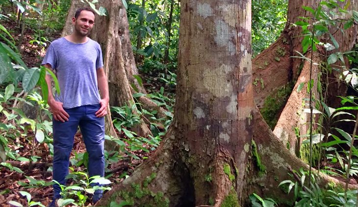 VÍDEO del árbol más alto del Amazonas