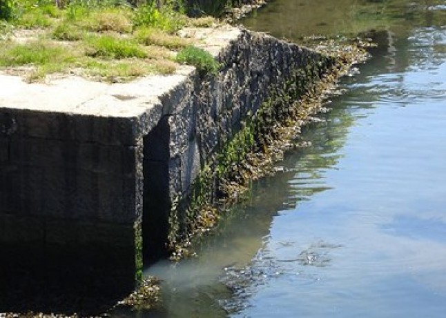 Primer Premio a las Buenas Prácticas Locales por el Clima