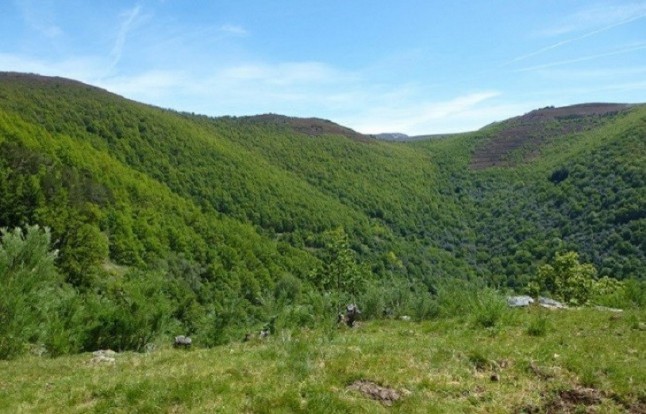 España firma la declaración ministerial del Grupo de Crecimiento Verde de la UE