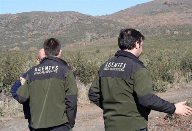 Los guardas forestales navarros piden más plantilla para mejorar su seguridad