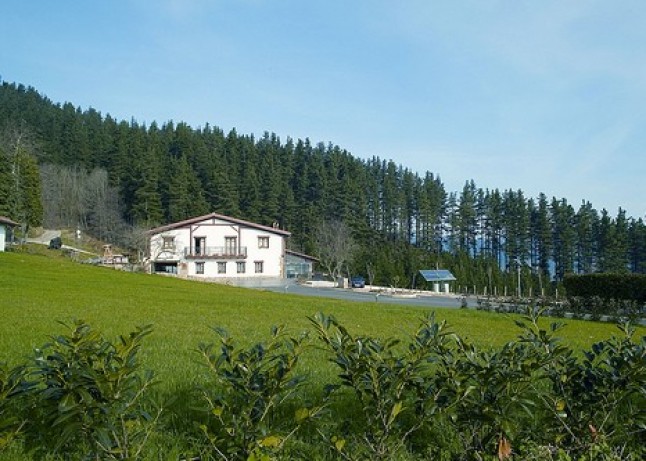 “Nadie ha presentado en Gipúzkoa una alternativa real a la incineración”