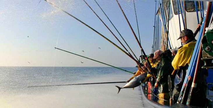 Abogados ambientales sugieren una mejora en el desembarque a España