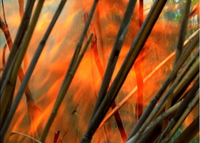 Andalucía. 700 millones en prevención de incendios forestales