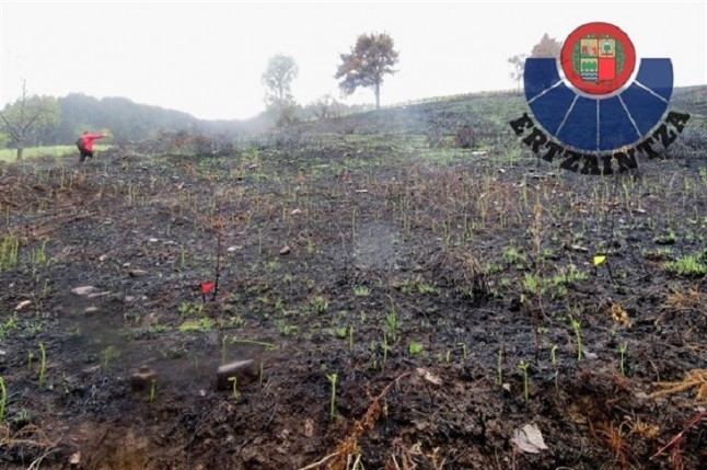 Detenido un ganadero por dos incendios forestales intencionados en Karrantza