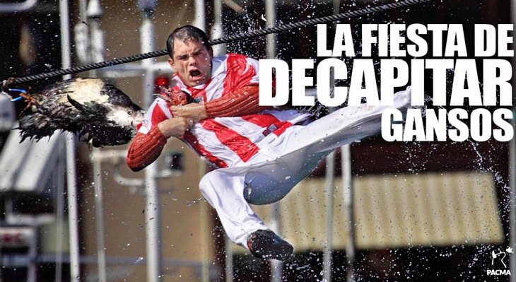 ¡Qué divertido es ‘decapitar gansos’!