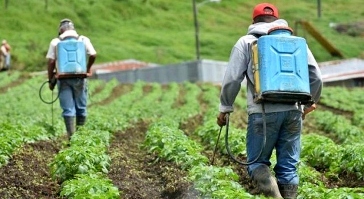 Europa se ‘retrata’ por permitir la comercialización del glifosato