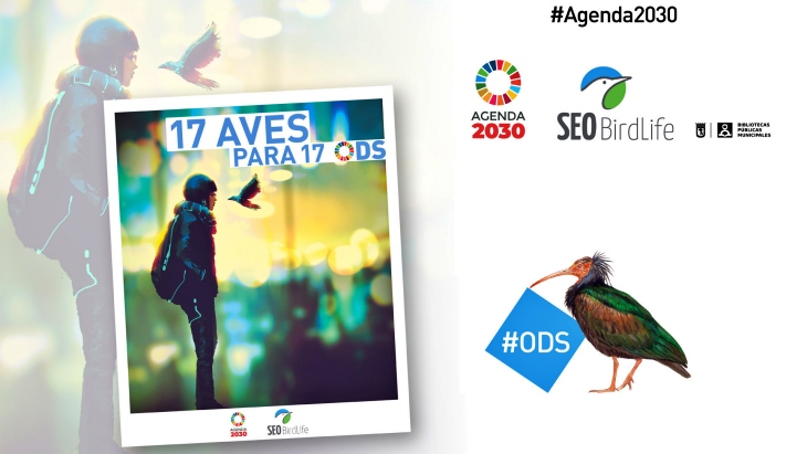 17 aves en la ‘Agenda 2030’