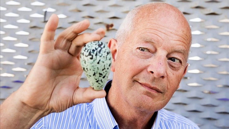 Te explicamos qué sentirías si fueras un ‘pájaro’