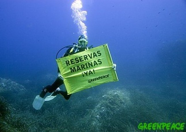 Santuario de túnidos en las Baleares