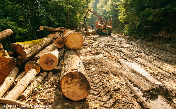 El programa verde europeo’ es totalmente insuficiente