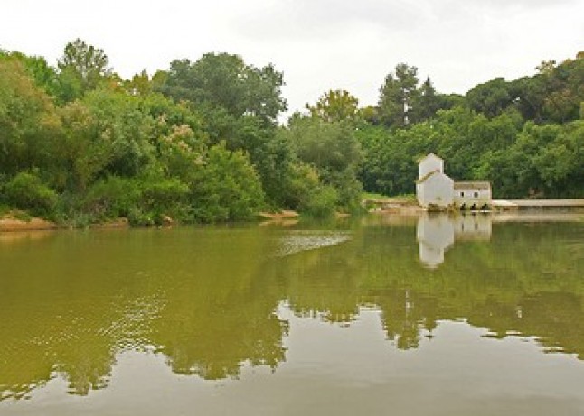 Estudian declarar Paisaje Protegido la ribera del río Guadaíra