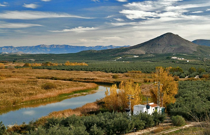 WWF celebra la recuperación del Guadalquivir