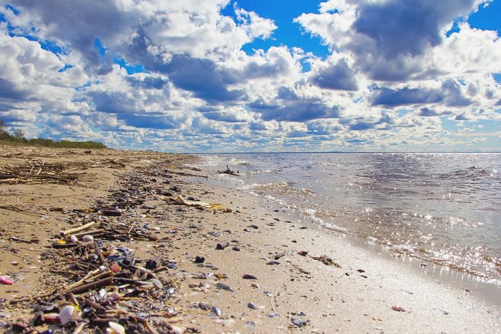 Seminario sobre valorización de residuos de EPS procedentes del sector pesquero