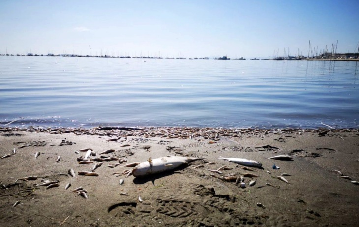 La ‘oscura’ puerta trasera del ‘Decreto del Mar Menor’