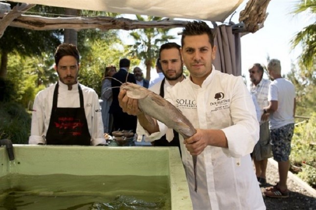 El hotel DoubleTree by Hilton (Málaga)