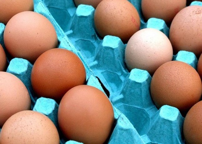 Marketing Ecológico