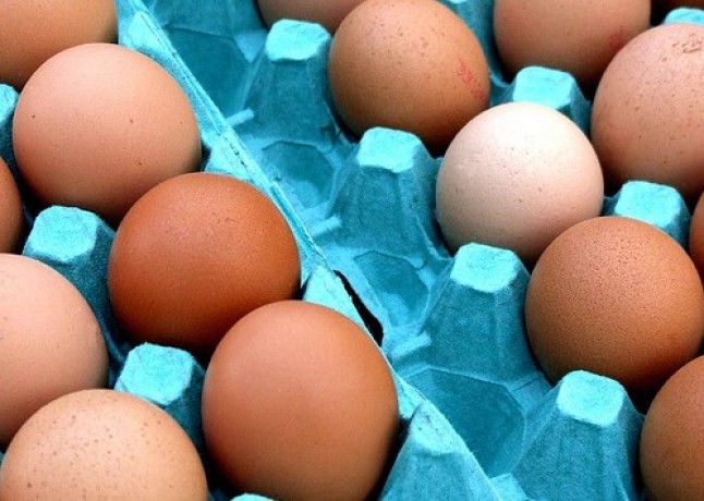 El marketing mix ecológico