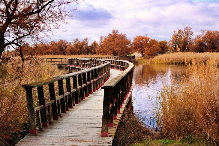 Día Mundial de los Humedales