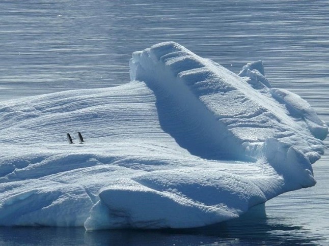 Qué se esconde bajo el iceberg gigante A68