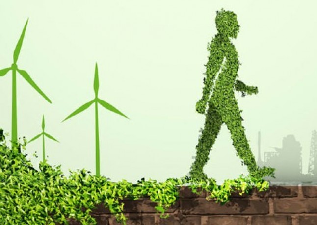 La formación medioambiental debe impartirse en las escuelas