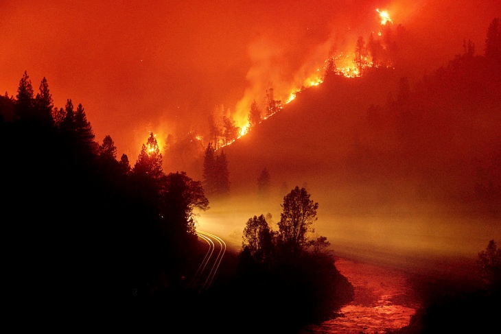 Ya son casi 50.000 hectáreas