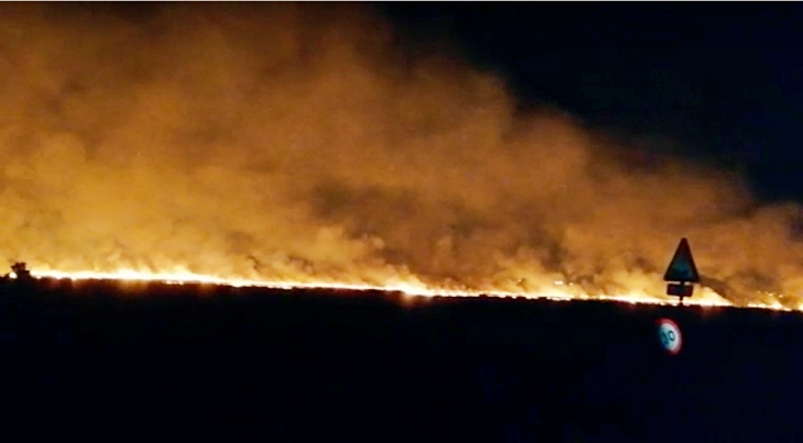 Doñana. Impunidad de los incendios en Entremuros