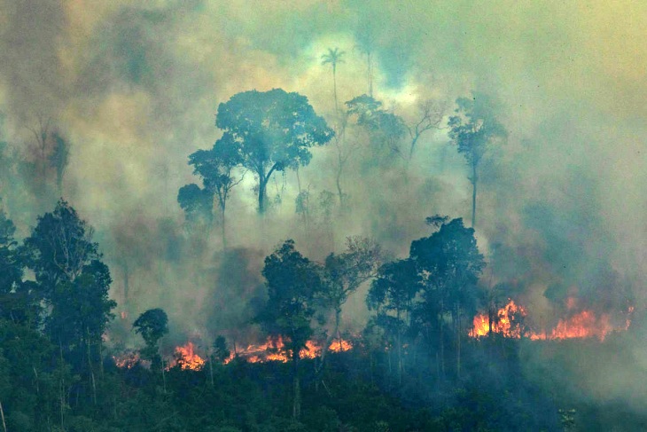 5 formas de ayudar a la Amazonia