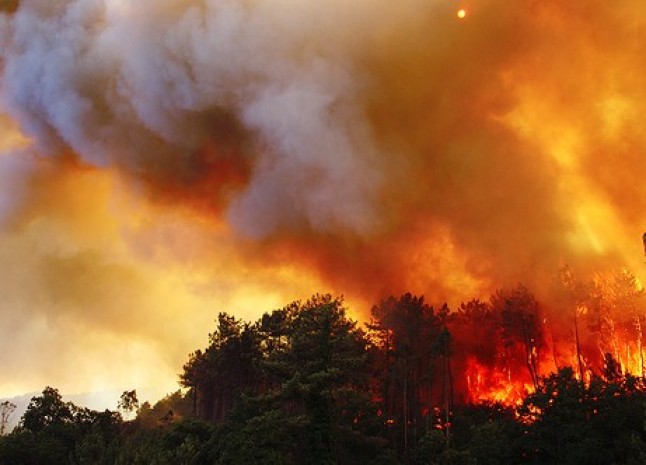 En Europa un proyecto financiado por el7PM ayuda a acelerar la lucha contra los incendios forestales