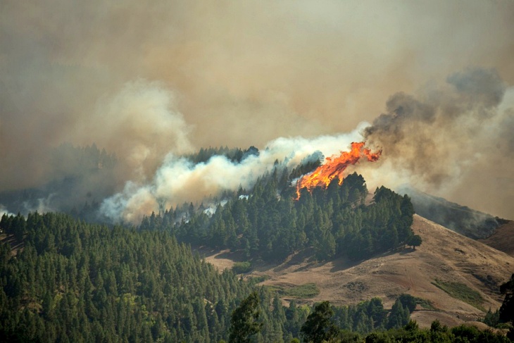 Biografía de un gran incendio forestal