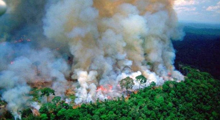 Brasil. Detenidos cuatro bomberos voluntarios por provocar incendios en el Amazonas