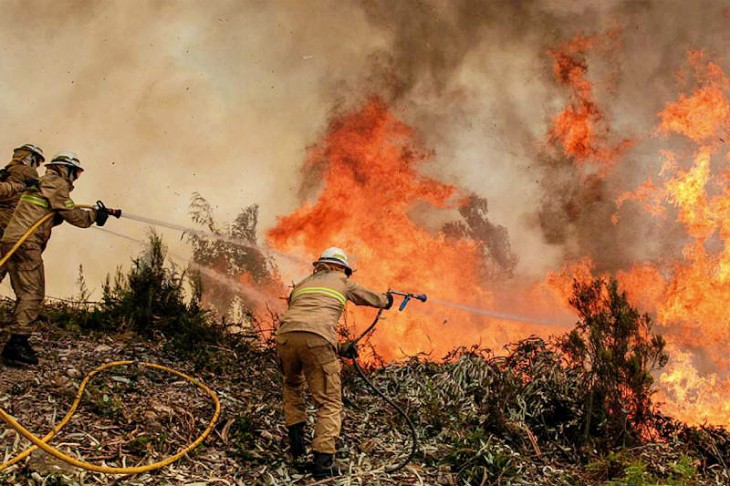 Alarmante. 60.000 hectáreas de bosque arrasadas por el fuego en lo que va de año