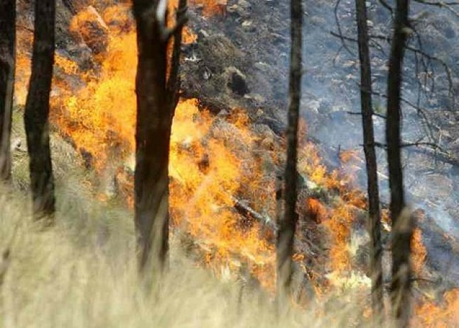 Medios estatales siguen actuando en la extinción de incendios