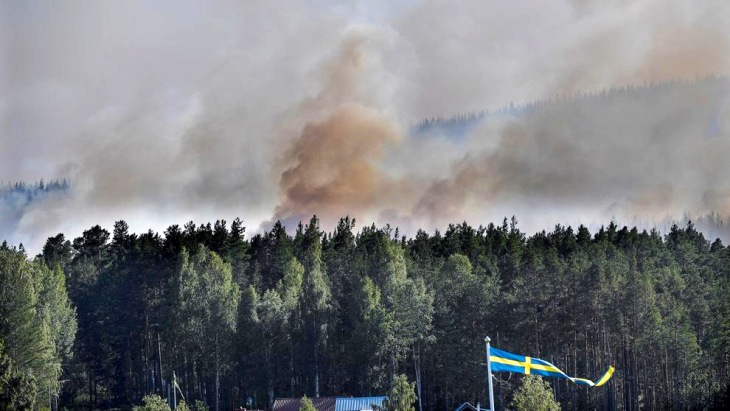 Los incendios forestales: grave riesgo para la salud