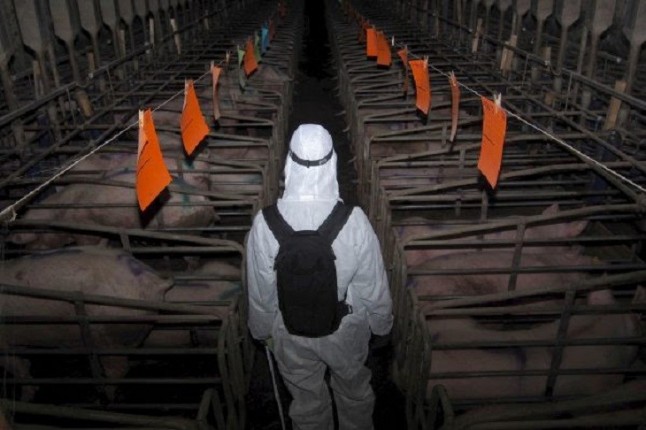 Menos carne y lácteos para un planeta sostenible