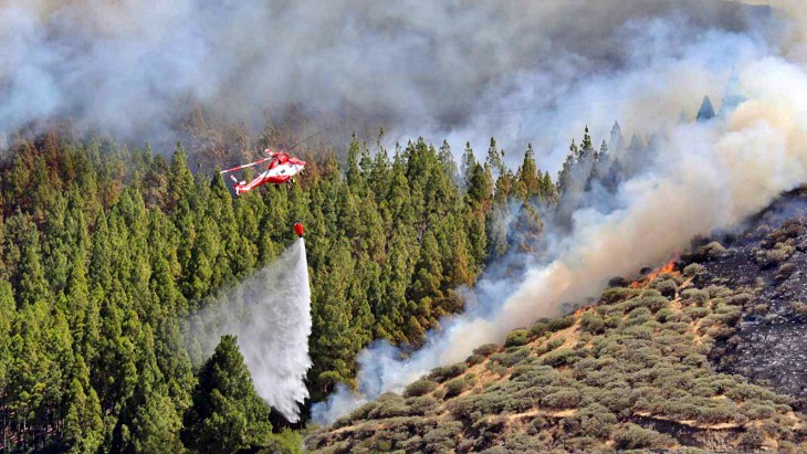 El Gobierno invertirá un millón de euros en la restauración de las zonas afectadas por el incendio de Gran Canaria