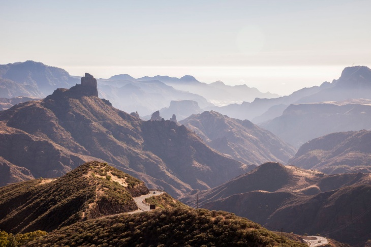 SEO/BirdLife presenta un plan para frenar la pérdida de biodiversidad en Canarias