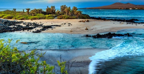Defendiendo la preservación de las Islas Galápagos