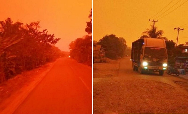 El papel de España en la ola de incendios en Indonesia