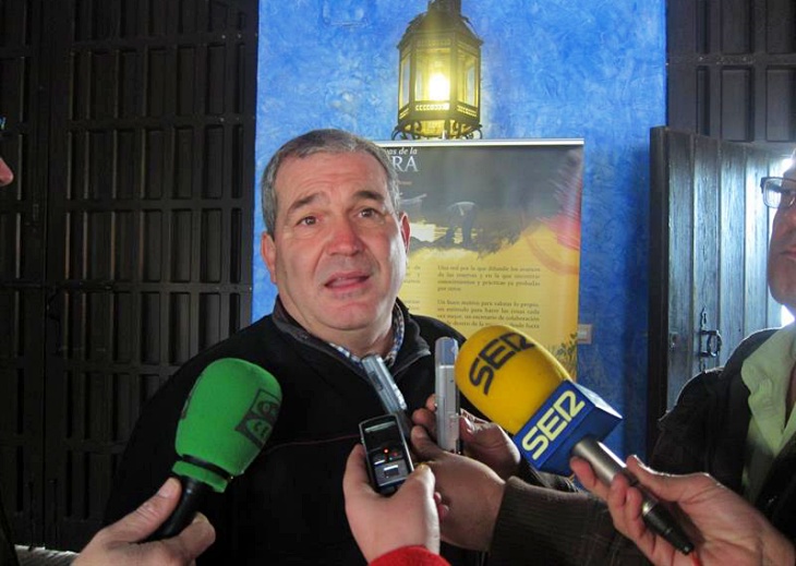 Atropellado un lince en la A-481