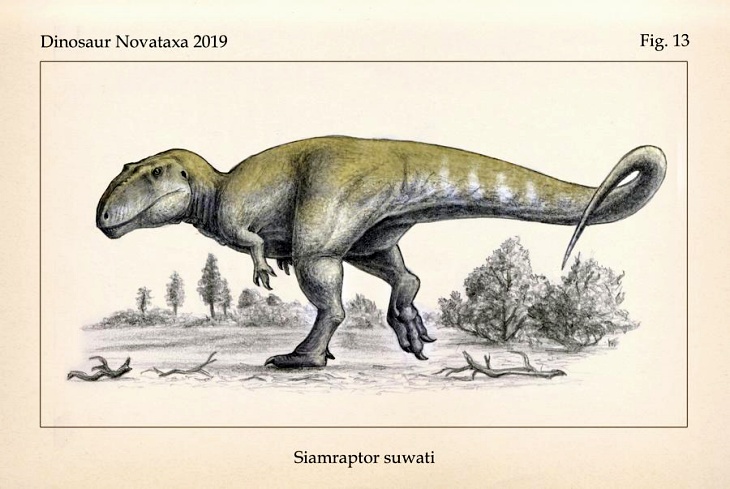 Qué sabes del ‘Siamraptor Suwati’ de Tailandia