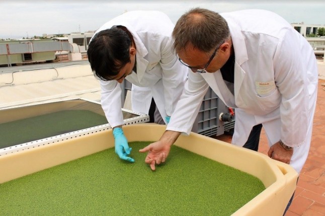 De residuo ganadero a materia prima para piensos y biofertilizantes