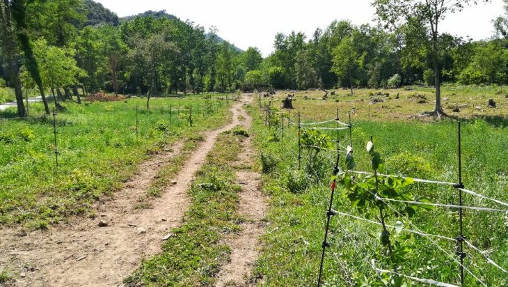 Life-Polyfarming propone un cambio de sistema agroalimentario totalmente sostenible