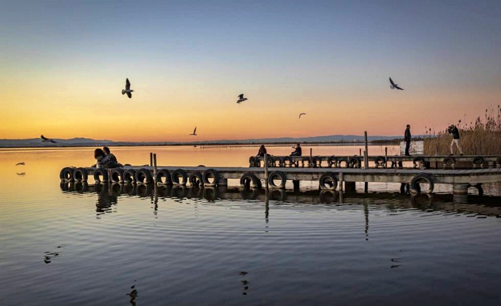 La Albufera de Valencia ‘anegada’ de cartuchos de plomo de los cazadores (video)