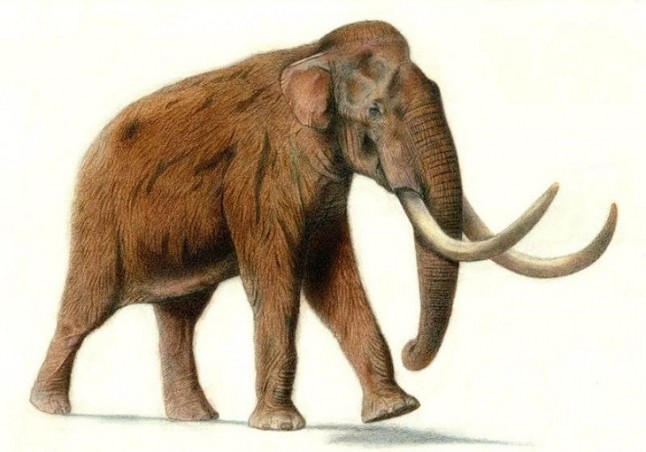 Por qué eran tan grandes los mamuts y otros mega-herbívoros